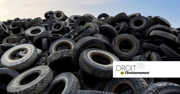 Élimination des déchets : le détenteur en est responsable même s'il les a confiés à un tiers