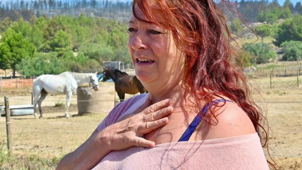 Incendie à Narbonne : des chevaux brûlés vifs, 35 bêtes évacuées, les écuries de la Maza à Bages sont dévastées