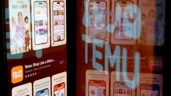 Une part de marché qui a plus que doublé en deux ans: le chinois Temu, symbole de la forte croissance du marché discount en France