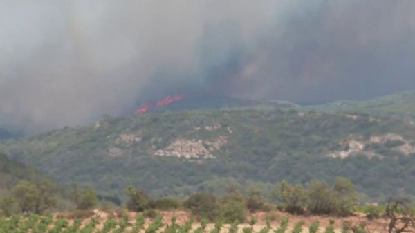 Plus de 2 000 hectares parcourus : l'incendie de Narbonne hors de contrôle