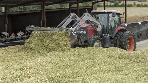 Le stage vire au drame : un adolescent de 16 ans meurt après avoir été percuté par la pelle d'un engin agricole