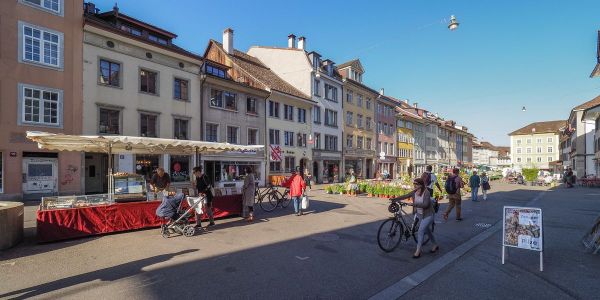 Compétition sportive Vernier: Prêts à plonger dans le Rhône entre deux courses?
