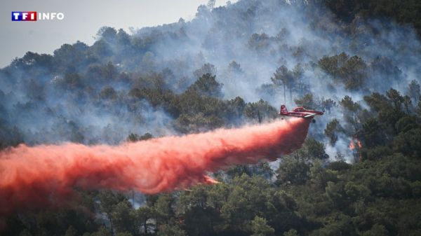 "Le plus rentable et le plus polyvalent" : des "Air Tractors" déployés en renfort face à l'incendie dans l'Aude | TF1 INFO