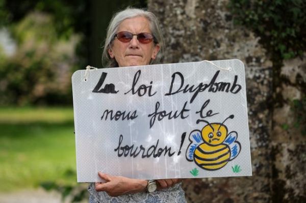 Loi Duplomb : assouplissements ciblés pour l'agriculture et vives critiques écologistes