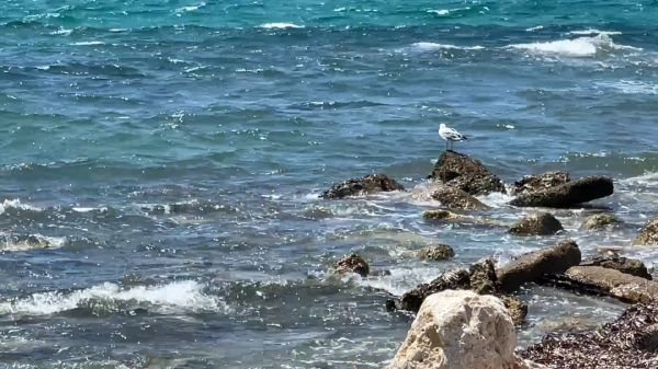 Un pic de 26°C: La mer Méditerranée a connu des canicules d'une "intensité record" en juin