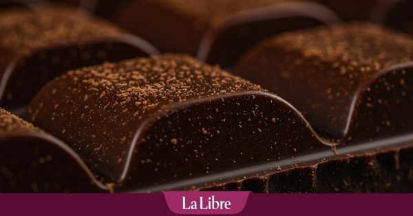 L'avenir du chocolat belge passe par le combat contre la déforestation