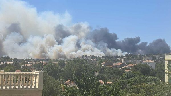 Incendie dans les Bouches-du-Rhône : le feu qui se propage « très rapidement » a déjà parcouru 30 hectares