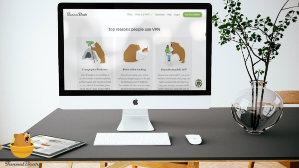 Test de TunnelBear : le VPN grand public qui mise sur la simplicité - juillet 2025