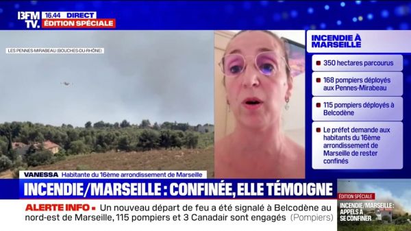 "C'est vraiment irrespirable [...] je n'ai jamais vu ça": cette habitante du 16e arrondissement inquiète face à l'ampleur de l'incendie qui touche Marseille