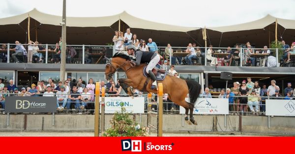 Sauts d'obstacles, épreuves show et autres spectacles au 5e Jumping international de Courrière, un événement gratuit à voir dès ce 9 juillet