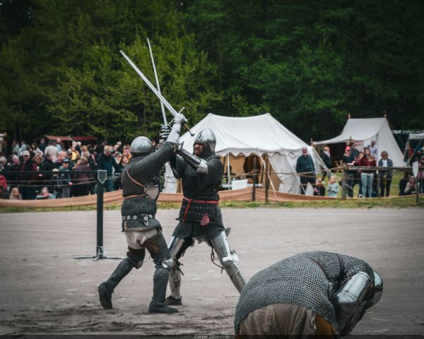 Foire au troc et aux cochons 2025 : la fête populaire de retour à Champigny (94) en septembre