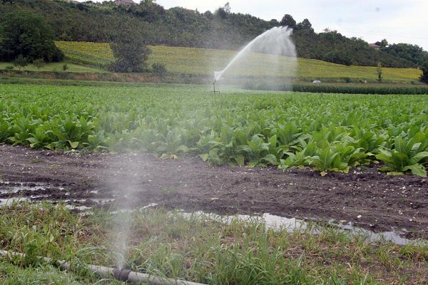 « Je suis anéanti » : des agriculteurs de Charente-Maritime condamnés à plus d'un million d'euros pour irrigation illégale