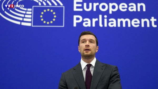 L'ex-groupe politique du RN au Parlement européen visé par une enquête | TF1 INFO