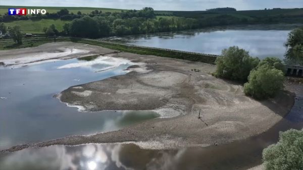 Sécheresse : dans quel état sont les nappes phréatiques cette année ? | TF1 INFO