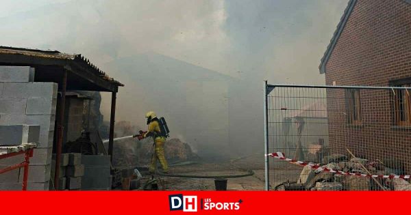 Un incendie en cours dans une grange à Rocourt (Liège) : des veaux ont perdu la vie
