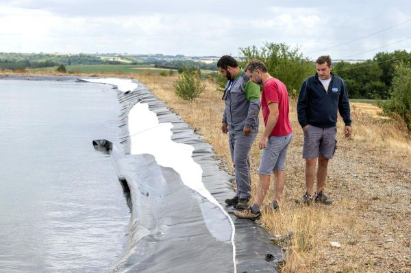Bassine lacérée au cutter à Fouqueure : le préfet de Charente renforce la surveillance, la Chambre d'agriculture en colère