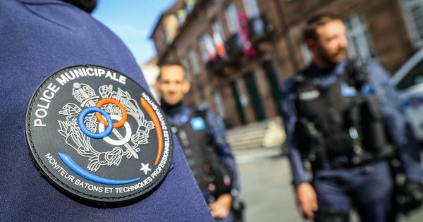 Doubs. Cet automne, la police municipale de Montbéliard aura son unité cynophile