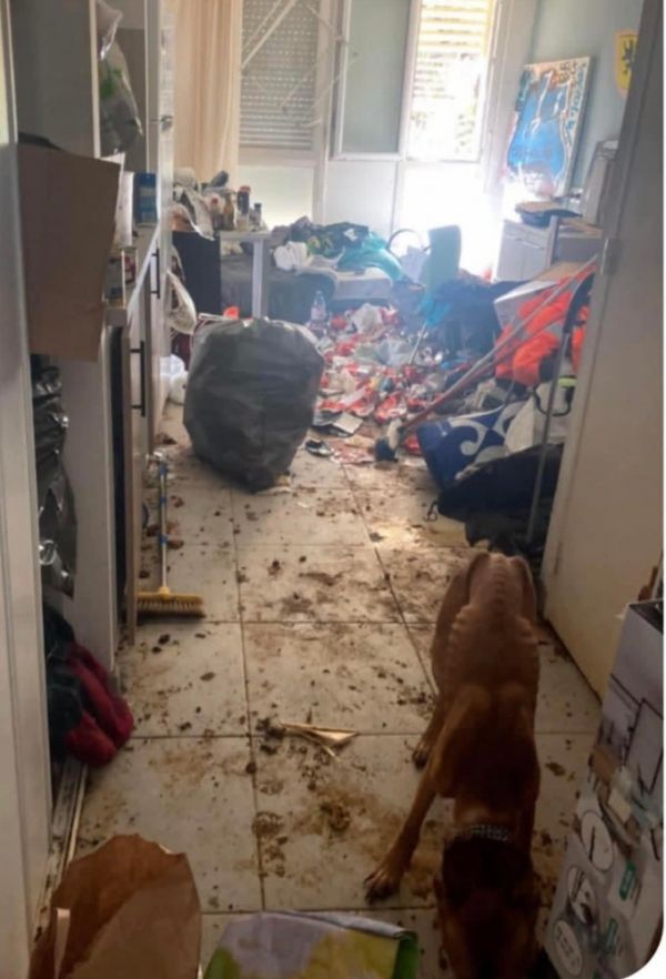 Nourriture absente, chaleur écrasante et déchets : un chien maltraité de 3 ans sauvé par la police à La Ciotat