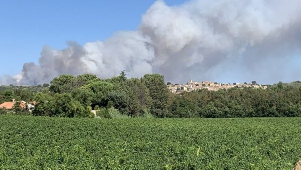 Incendie près de Béziers : l'autoroute A9 fermée dans les deux sens, déjà 10 hectares détruits