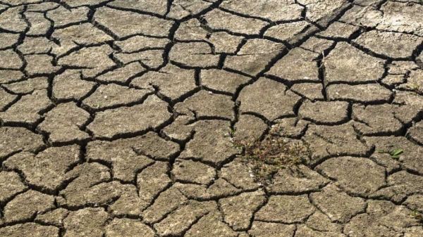 Maroc en soif : l'ombre d'une catastrophe hydrique d'ici 2050