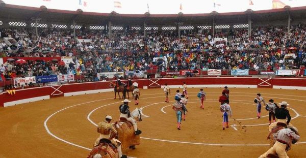 La corrida pour les nuls