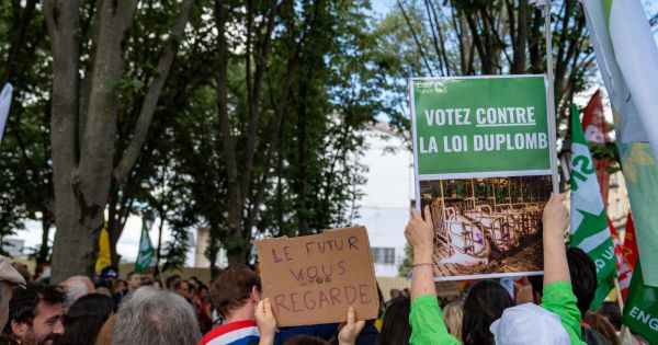 Agriculture. Le Parlement adopte définitivement la loi Duplomb, qui réintroduit un pesticide controversé