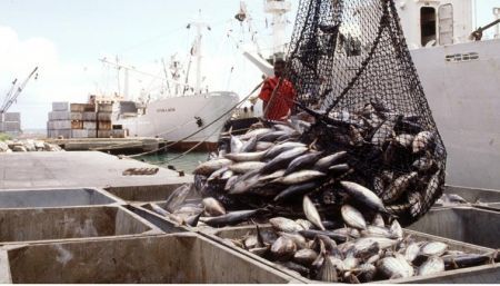 Pourquoi l'Afrique hésite à ratifier l'accord de l'OMC sur les subventions à la pêche (ISS Africa)