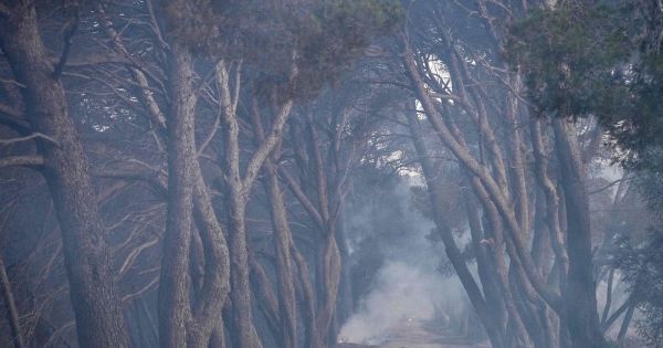 Feux à Marseille et Narbonne : «Vent et assèchement, c'est le cocktail classique des incendies»
