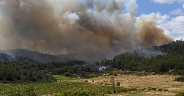 Incendies dans l'Aude, près de Narbonne : «On aurait dit un volcan en éruption»