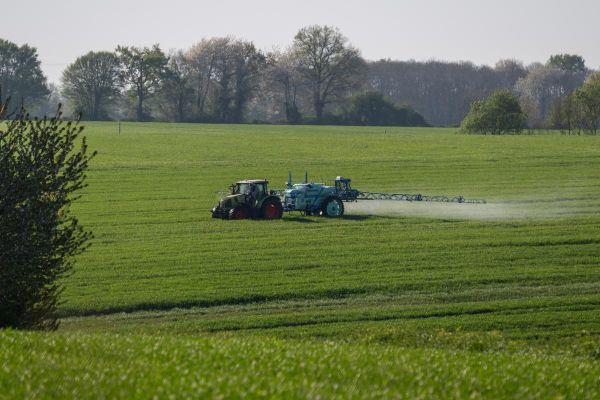 Loi Duplomb : le Parlement adopte définitivement le texte controversé sur l'agriculture