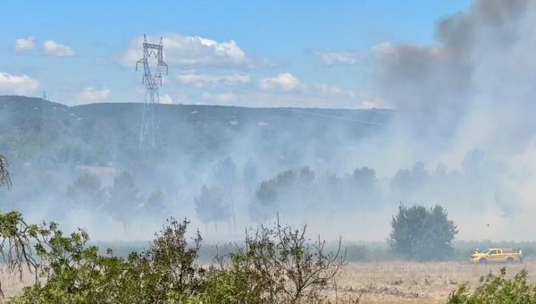 Incendies : de nombreux départs de feu dans l'Hérault, des perturbations dans les transports