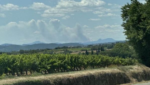 PHOTOS - Montdardier : 120 hectares brûlés dans le Pays Viganais, les pompiers  sur place