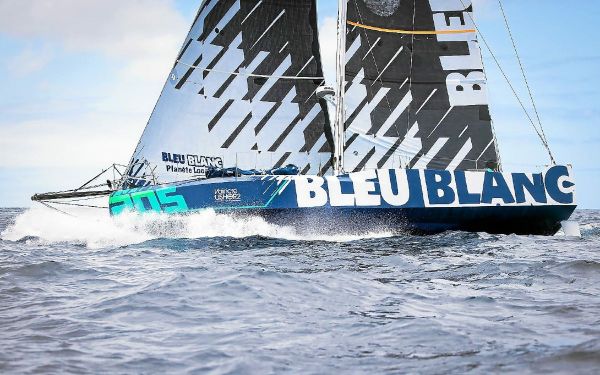 Quand un skipper breton passe juste à côté d'un baleineau... [Vidéo]