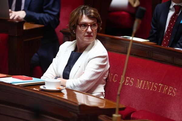 Agriculture: la décriée loi Duplomb définitivement adoptée