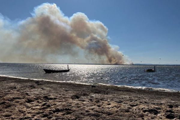 Incendie dans l'Hérault : 400 hectares brûlés au sud de Pézenas, des centaines menacées, l'A9 fermée entre Montpellier, Sète et Béziers