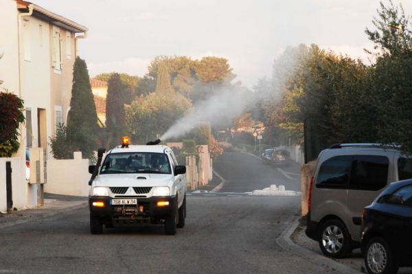 Moustique tigre. Après la détection d'un cas importé de chikungunya, une pulvérisation d'insecticide dans un quartier périurbain de Limoges