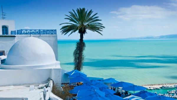 Chirurgie esthetique Tunisie : Prix Clinique Pasteur