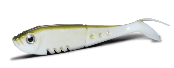 BUSTER SHAD