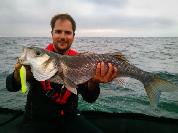 Très gros bar en surface au Mousty 125 avec LORIENT PASSION PECHE