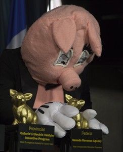 Le gouvernement de l’Ontario champion des prix Teddy en gaspillages financiers