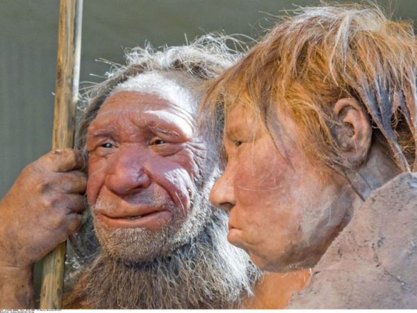 Neandertal pratiquait l'automédication avec aspirine | SoFrenchy