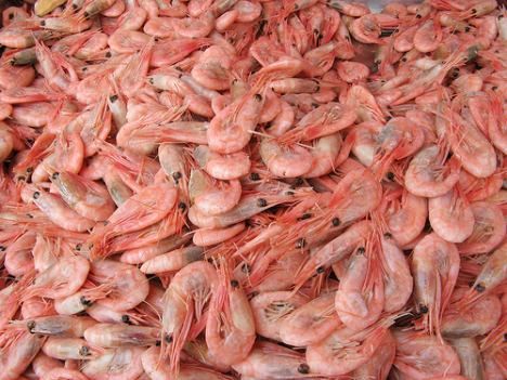 Madagascar labélise ses crevettes pour assurer sa qualité sur le marché mondial