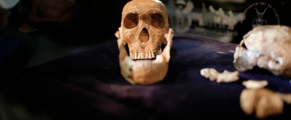 Homo sapiens: une découverte qui bouleverse notre vision de l'évolution