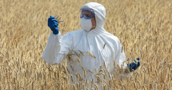 "Les OGM tuent la science et la vérité.” Le discours combatif d'une militante écolo. (VIDÉO)
