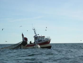 Naufrage d’un bateau de pêche au large de Mostaganem : 4 marins portés disparus, trois autres secourus