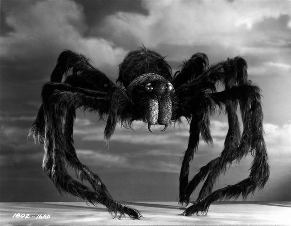 Coffret Jack Arnold, géant de la peur : Tarantula et L'Homme qui rétrécit (en blu-ray et DVD)