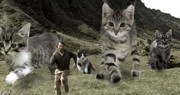 Quelqu'un a remplacé les dinosaures de Jurassic Park par des chats et c'est juste génial (Photos)