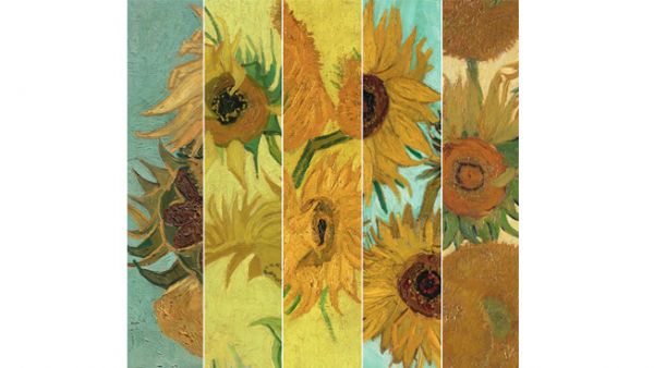 Les Tournesols de Van Gogh réunis le 14 août en un bouquet virtuel