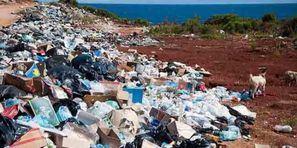 Alger: plus de 100 décharges d'ordures sauvages éradiquées en juillet