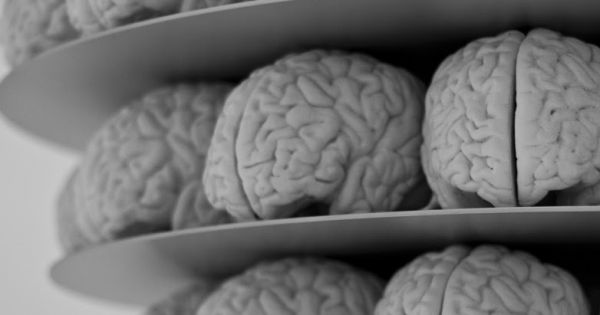 Des scientifiques sont parvenus à pirater un cerveau à distance et à controler les mouvements du corps